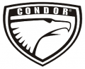 Лодочные моторы Condor