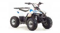 Квадроцикл MotoLand ATV 110 EAGLE
