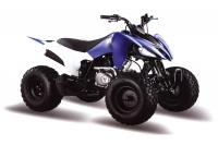 Квадроцикл MotoLand ATV 150S