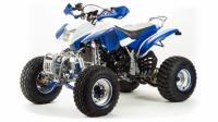 Квадроцикл MotoLand ATV 250 DAKAR