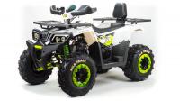 Квадроцикл MotoLand ATV 200 WILD TRACK LUX