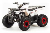 Квадроцикл MotoLand ATV 125 WILD