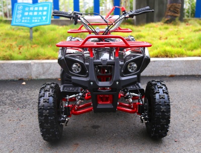 Квадроцикл MotoLand ATV 50 mini