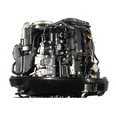 Лодочный мотор GOLFSTREAM F100FEL-T EFI