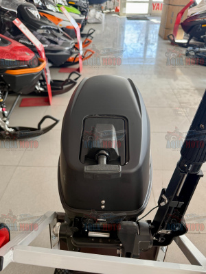 Лодочный мотор Gladiator G9.9FHS BLACKLINE