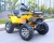 Квадроцикл MotoLand ATV 200 WILD TRACK X PRO