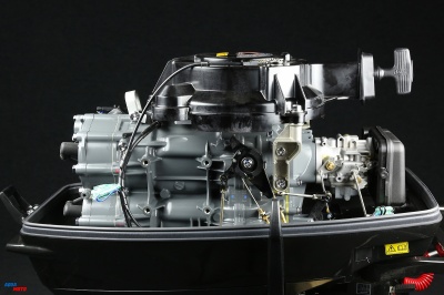 Лодочный мотор Suzuki DT 40WS