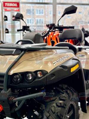 Мотовездеход РМ 650-2