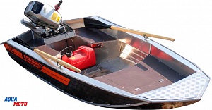 Моторная лодка Wellboat-33