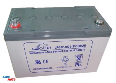 Аккумулятор LPG 12-100N WBR
