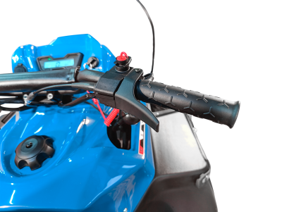 Снегоход утилитарный  SK500 EFI