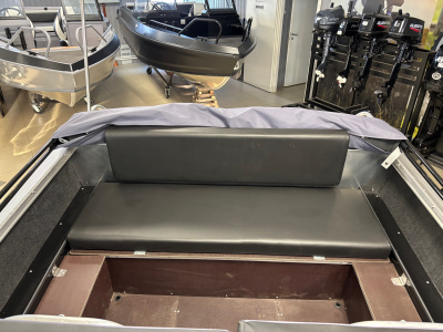 Моторная лодка Realcraft impulse-440+ доп опци