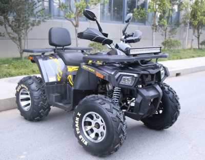 Квадроцикл MotoLand ATV 200 WILD TRACK X
